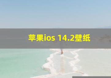 苹果ios 14.2壁纸